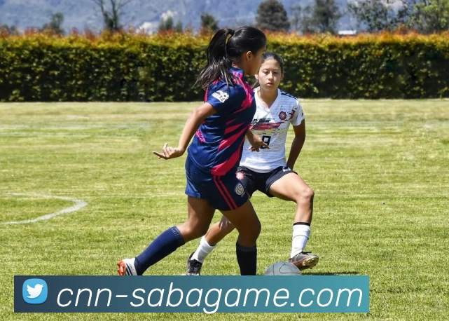 沙巴官网发展历程